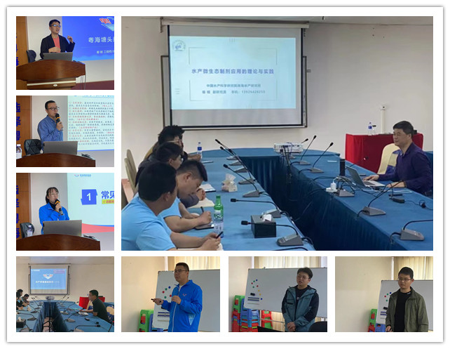 1680228470409797.jpg 12.jpg